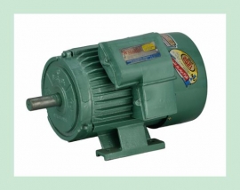SEAMAX ELECTRIC MOTOR