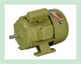 SEAMAX ELECTRIC MOTOR